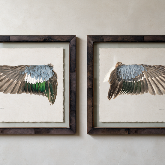 Blue-Winged Teal wing study — 10
